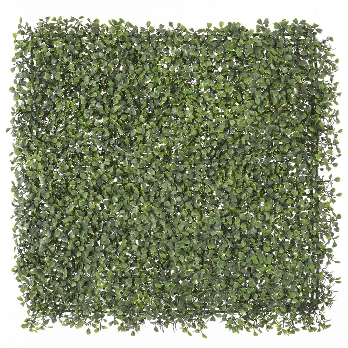 Žogs Boje Dabisks 50 x 50 x 2 cm